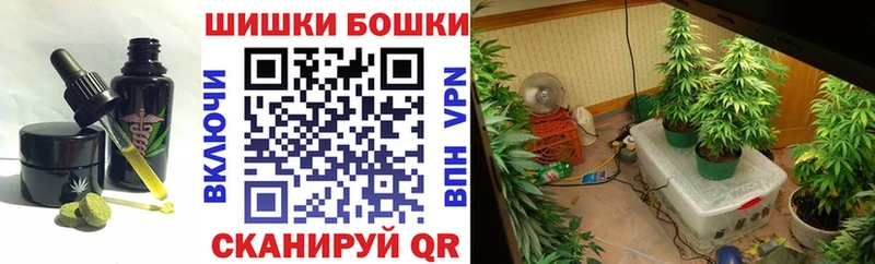 blacksprut зеркало  дарнет шоп  Богородицк  Canna-Cookies конопля 