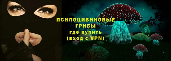 стаф Белоозёрский