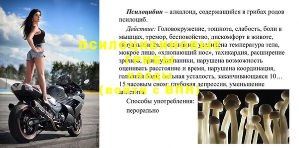 амф Беломорск
