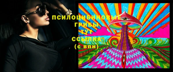 стаф Белоозёрский